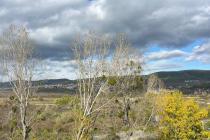 Квартира 67 м², 65 000 €, комплекс "Sunny View North" ID: 5881 - Фото 14