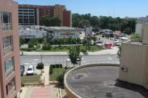 Palm Court / Palm Court ID: 733 - Photo 2