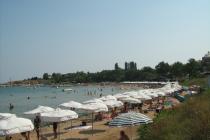 Złota rybka ID: 303 - Фото7