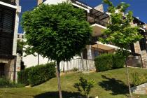 Dolche Vita ID: 535 - Фото4