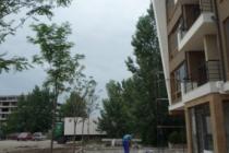 Tarantula ID: 83 - Фото 3