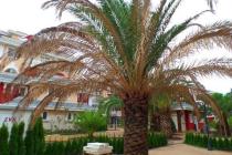 Messembria Resort ID: 562 - Photo 15