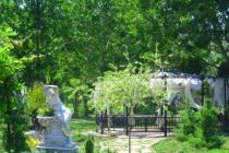 Aphrodite Rose ID: 587 - Photo 21