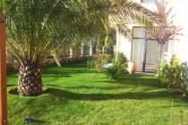 Aphrodite Rose ID: 587 - Photo 22