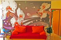 2 pokoje w kompleksie Sunny Garden za 29 900 euro! ID: 1024 - Фото2