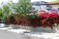 Urgent sale of an apartment at a bargain price ID: 2562 - Photo 14