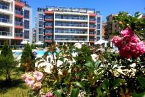 Sun Wave ID: 385 - Photo 8