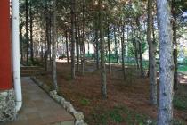 Villa St Vlas ID: 920 - Photo 4