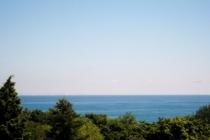 Villa Mare / Вилла Маре ID: 176 - Фото 13