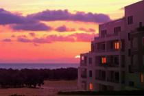 Ogrody Kiwi / Kiwi Gardens ID: 515 - Фото12