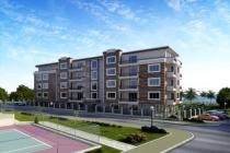 Styl życia 4 ID: 433 - Фото1