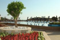 Oazis Beach Club ID: 377 - Фото7