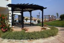 Oazis Beach Club ID: 377 - Фото11