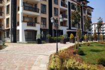 Oazis Beach Club ID: 377 - Фото13