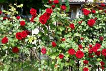 Przytulne studio z widokiem na basen ID: 1991 - Фото15