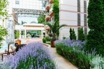 One bedroom apartment in luxury complex with aqua-park ID: 4299 - Photo 1