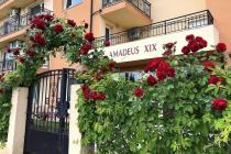 Евтин студио апартамент в Слънчев бряг, Амадеус 19 ID: 5815 - Снимка 1