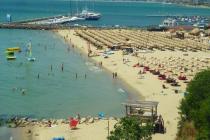 Dedina Vega ID: 493 - Фото5