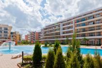 Grand Kamelia ID: 138 - Снимка 5