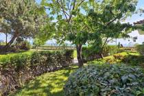 Первая линия! Апартамент с мебелью в комплексе "Marina Cape" ID: 5908 - Фото 16