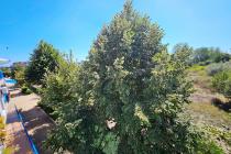 Dostępna cena! Mieszkanie na wypoczynek lub zamieszkanie ID: 5545 - Фото13