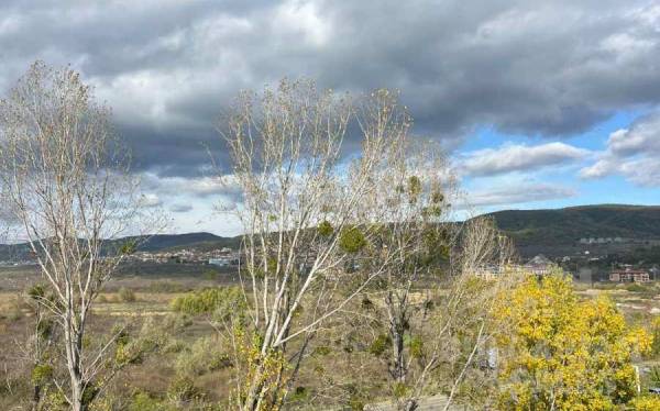 Квартира 67 м², 65 000 €, комплекс "Sunny View North" ID: 5881 - Фото 14