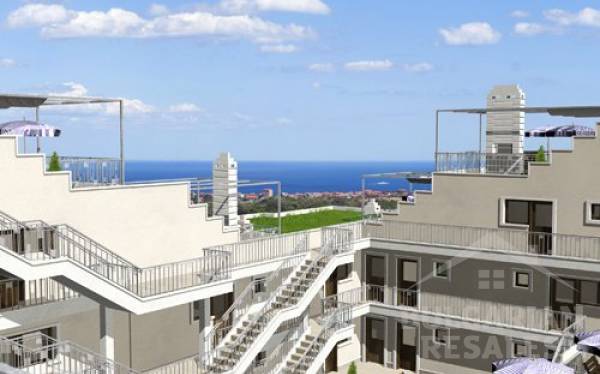 Tango - Biala ID: 318 - Фото4