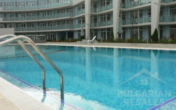 Черноморска звезда ID: 511 - Снимка 2