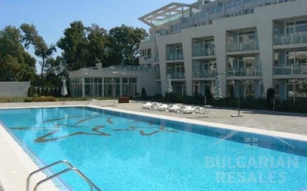 Черноморска звезда ID: 511 - Снимка 5