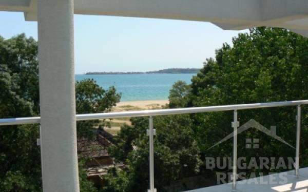 Черноморска звезда ID: 511 - Снимка 9