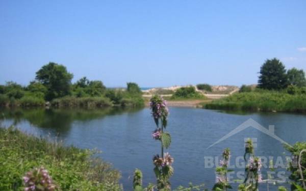Golden Dunes ID: 199 - Photo 7