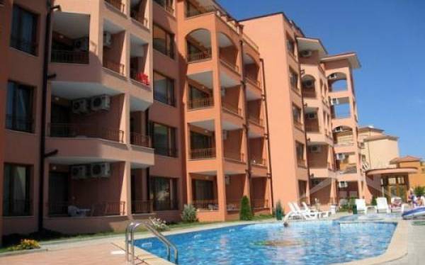 Sunflower ID: 527 - Photo 3