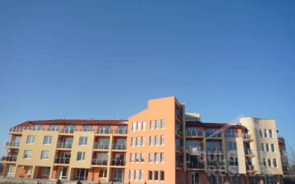 Złota rybka ID: 303 - Фото2