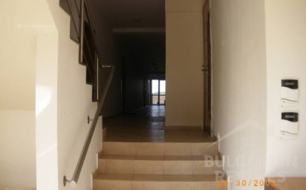 Леванте ID: 319 - Фото2