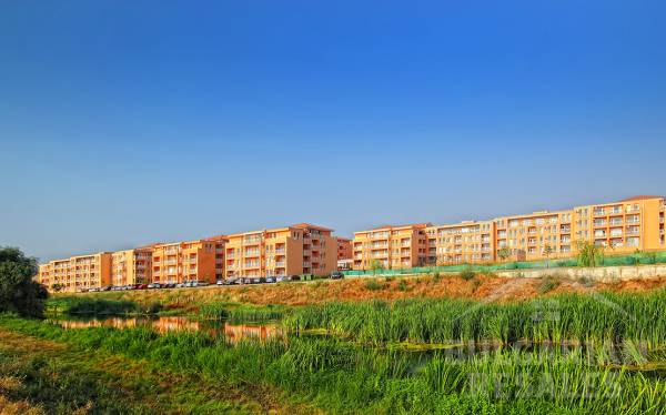 ID1299 Studio w słoneczny dzień 6 kompleks ID: 918 - Фото6