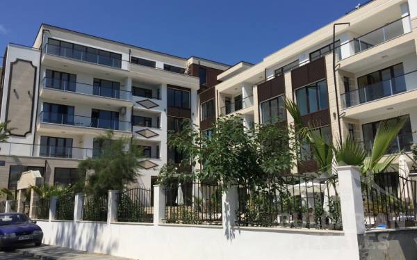 Зелен рай Deluxe ID: 593 - Снимка 3