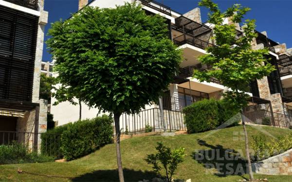 Dolche Vita ID: 535 - Фото4