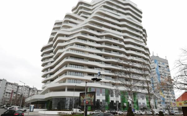 Flora Panorama - Flora Panorama ID: 937 - Фото1