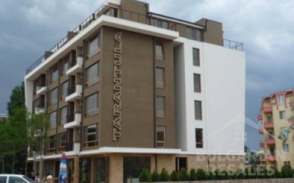 Tarantula ID: 83 - Фото 2