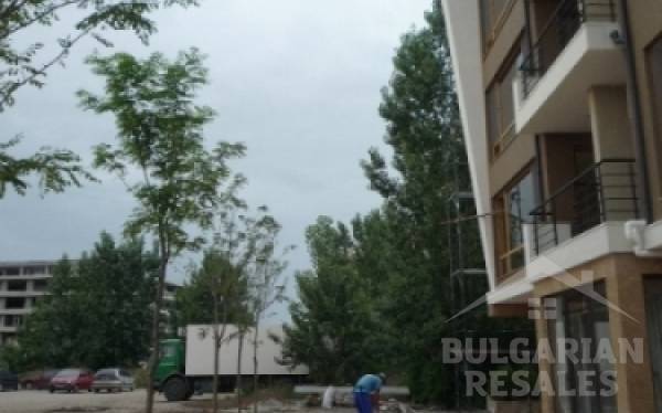 Tarantula ID: 83 - Фото 3