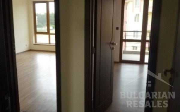 Tarantula ID: 83 - Фото 4