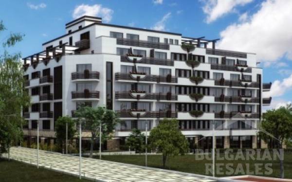 Vigo II ID: 266 - Photo 5