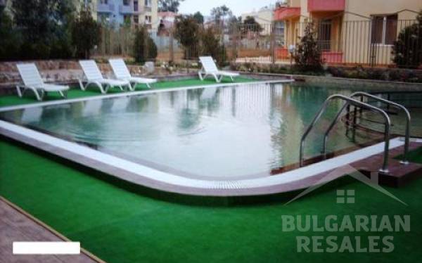 Tarantula ID: 83 - Фото 9