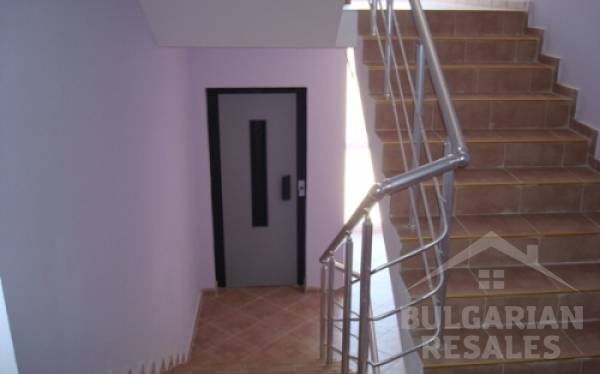 San Club ID: 157 - Фото 13