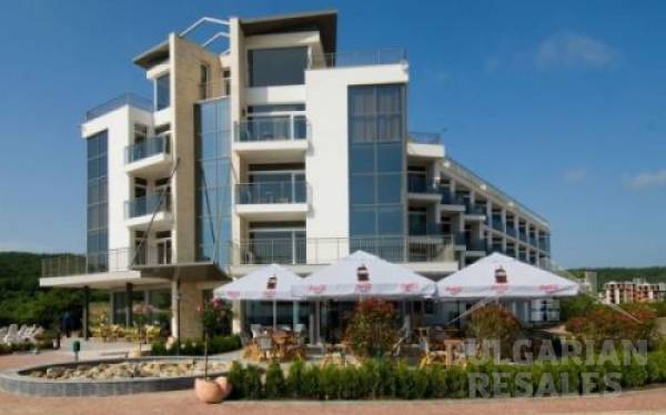 South Pearl ID: 65 - Фото2