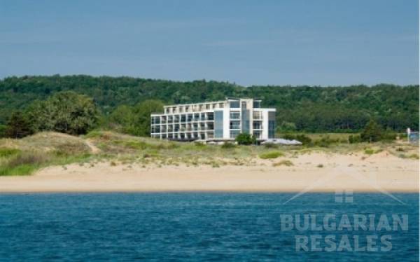 South Pearl ID: 65 - Фото3