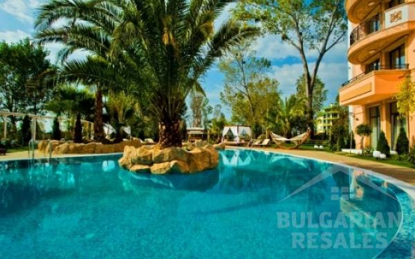 Aphrodite Rose ID: 587 - Photo 5