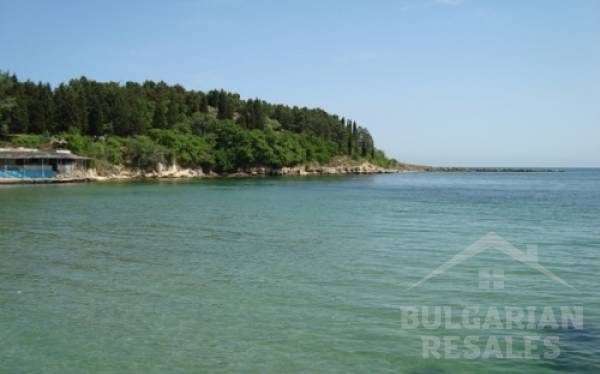 Rich ID: 68 - Фото4