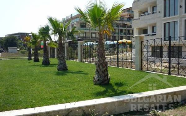 Golden Dunes ID: 199 - Photo 9