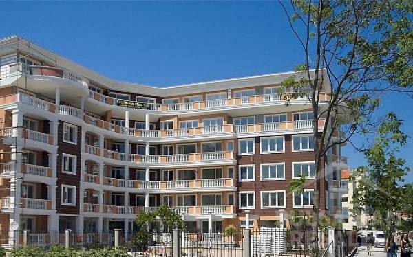 Willa Aria ID: 591 - Фото2